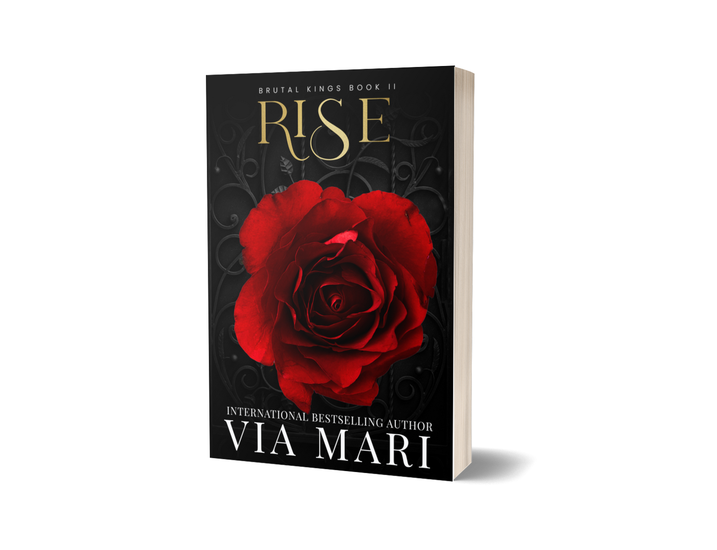 Rise: Dark Mafia Romance (Brutal Kings Book 2 - Print)