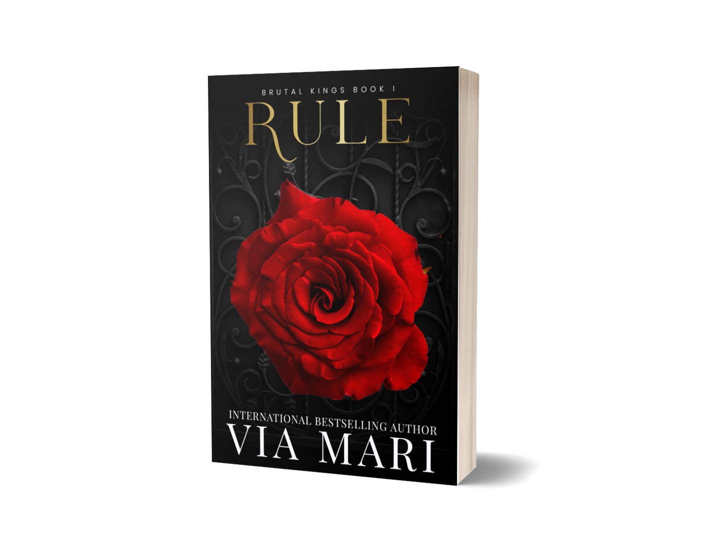 Rule: Dark Mafia Romance (Brutal Kings Book 1 - Print)